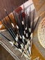 Porcupine Quills