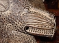 2. Bronze Benin Leopards