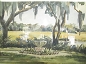 9. Lenora Quarterman Watercolor